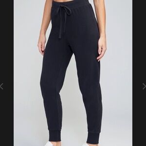 NEW Wildfox Jack Jogger Jet Black Poly Dye Size Medium NWT
